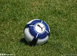 陈慧珊或投,身教育界教,授英语,捕鱼达人官方在线网站,捕鱼达人3D官方正版,捕鱼达人在线试玩,捕鱼达人3网页版